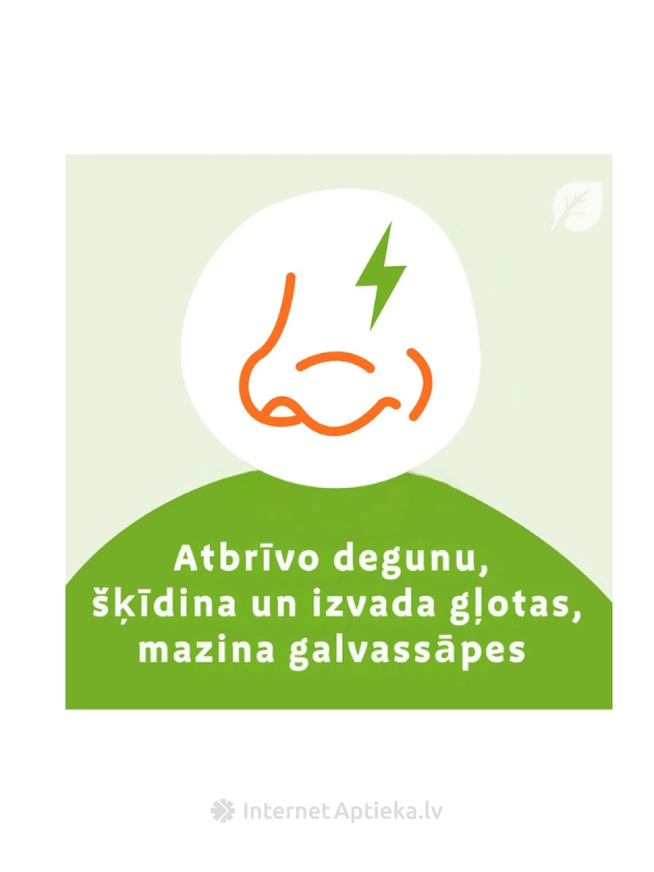 SINUPRET ekstrakts 160 mg tabletēs, 20 gab | internetaptieka.lv