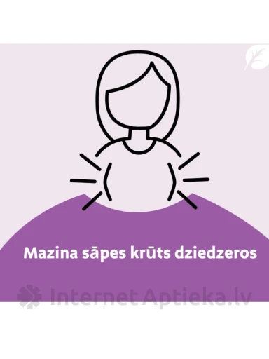 Mastodynon, 60 tabletes | internetaptieka.lv