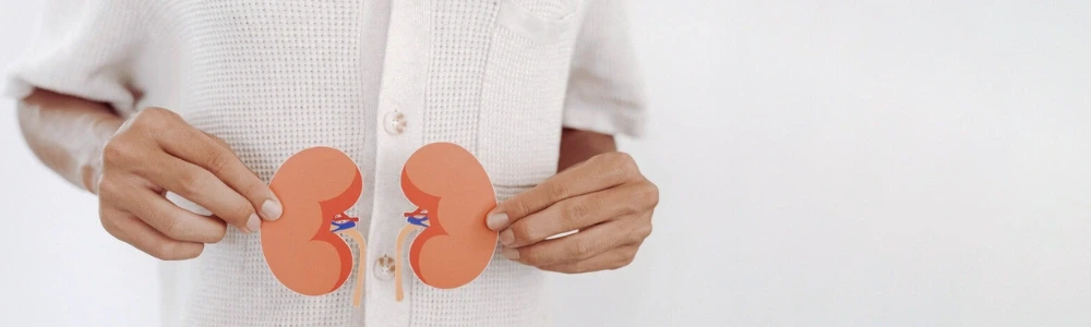 Ko darīt, ja ir nieru iekaisums?
