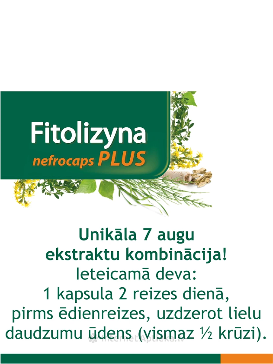 Fitolizyna Nefrocaps Plus, 30 kapslit | internetaptieka.lv