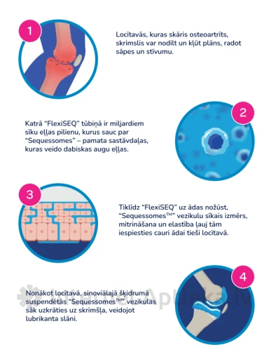 FLEXISEQ for Joint Wear&Tear gels, 50 g | internetaptieka.lv