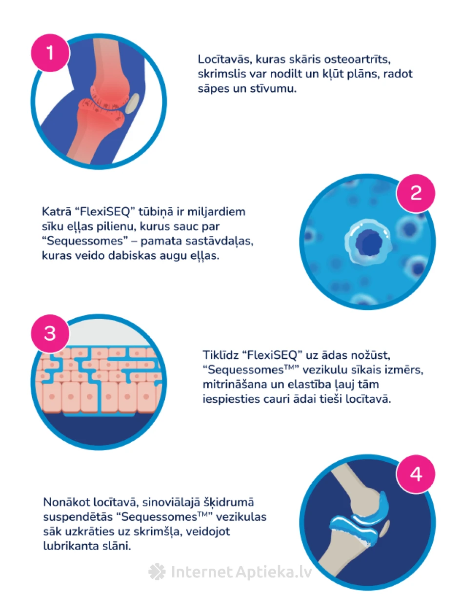 FLEXISEQ for Joint Wear&Tear geel, 50 g | internetaptieka.lv