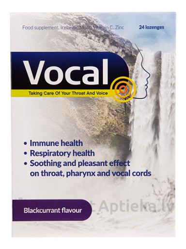 Vocal карамельные твердые пастилки со вкусом черной смородины, 24 пастилки