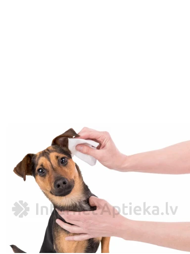 TRIXIE Влажные салфетки для гигиены ушей, 30 шт. | internetaptieka.lv