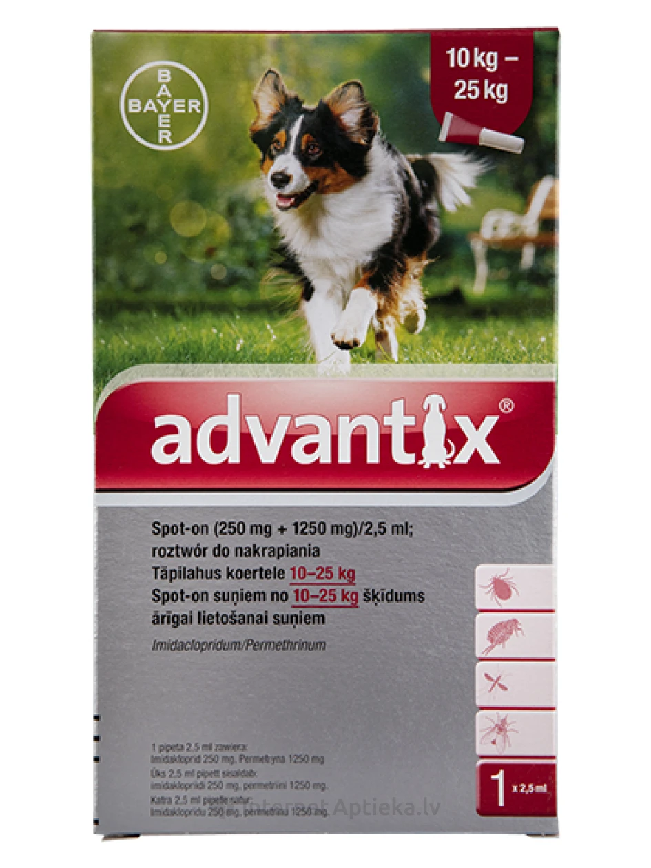 Advantixi lahus kirpude ja puukide vastu koertele 10-25 kg, 1 tk. | internetaptieka.lv