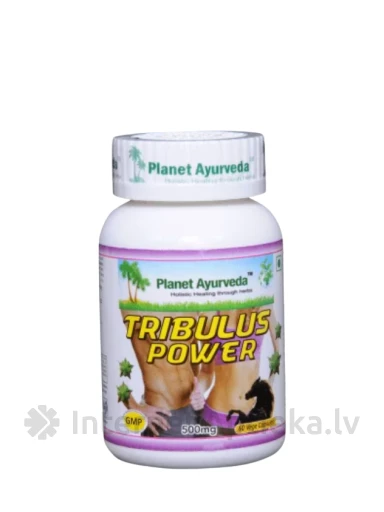 Planet Ayurveda® Tribulus Power капсулы, 60 шт. | internetaptieka.lv