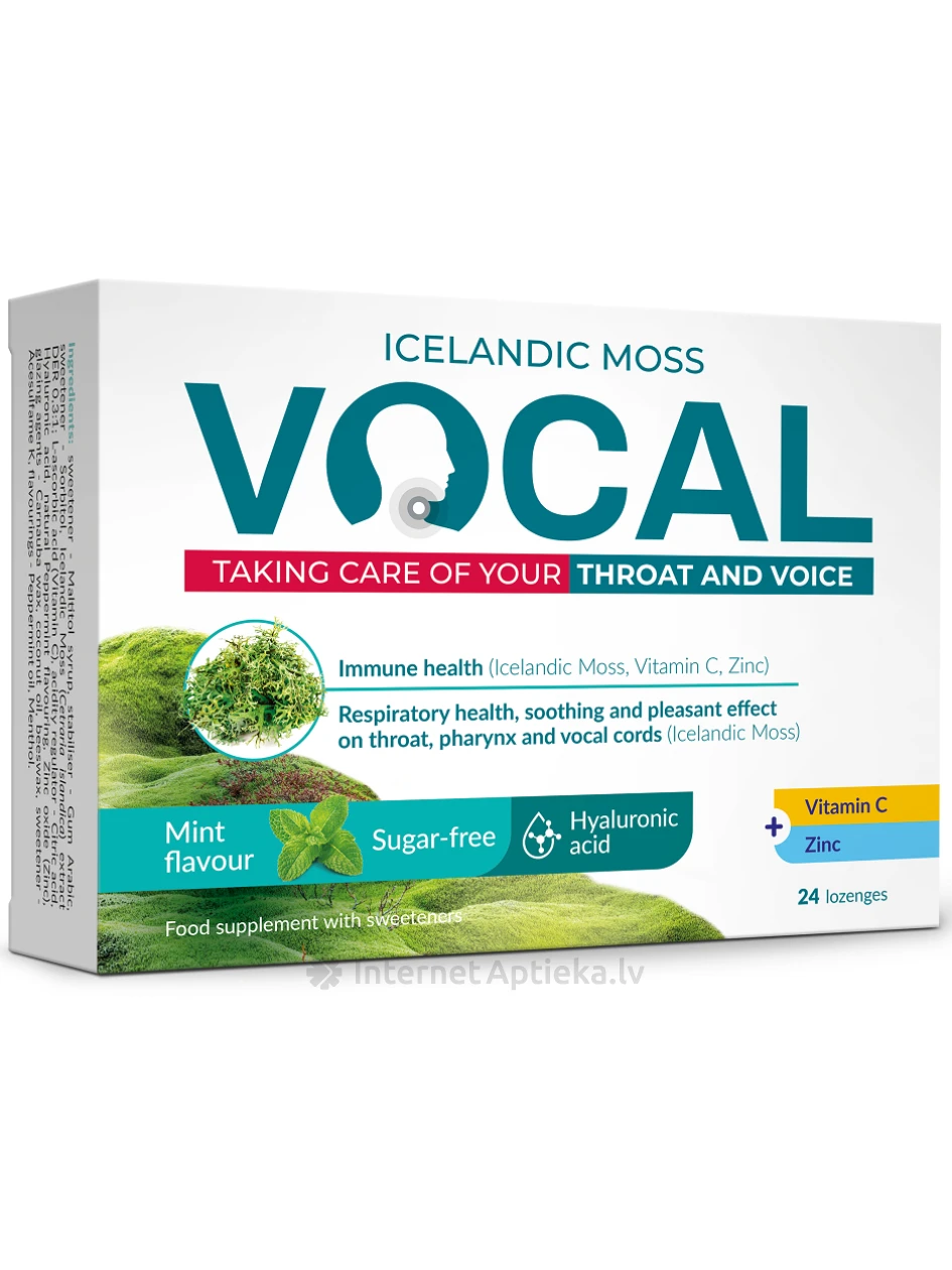 Vocal HA леденцы со вкусом мяты, 24 пастилки | internetaptieka.lv