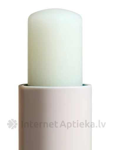 BeauTerra Питательный бальзам для губ с маслом ши, 4 г | internetaptieka.lv