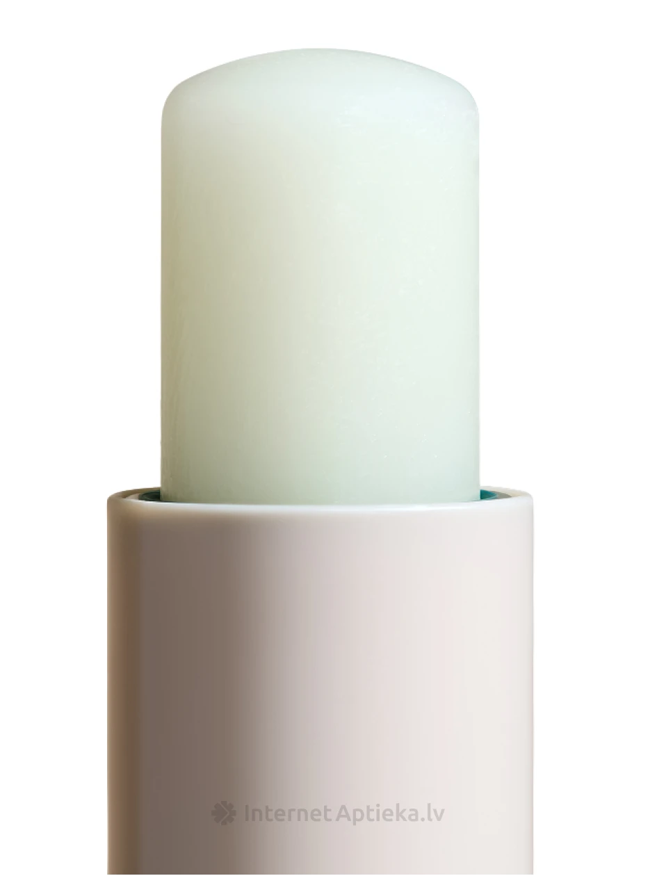 BeauTerra Питательный бальзам для губ с маслом ши, 4 г | internetaptieka.lv