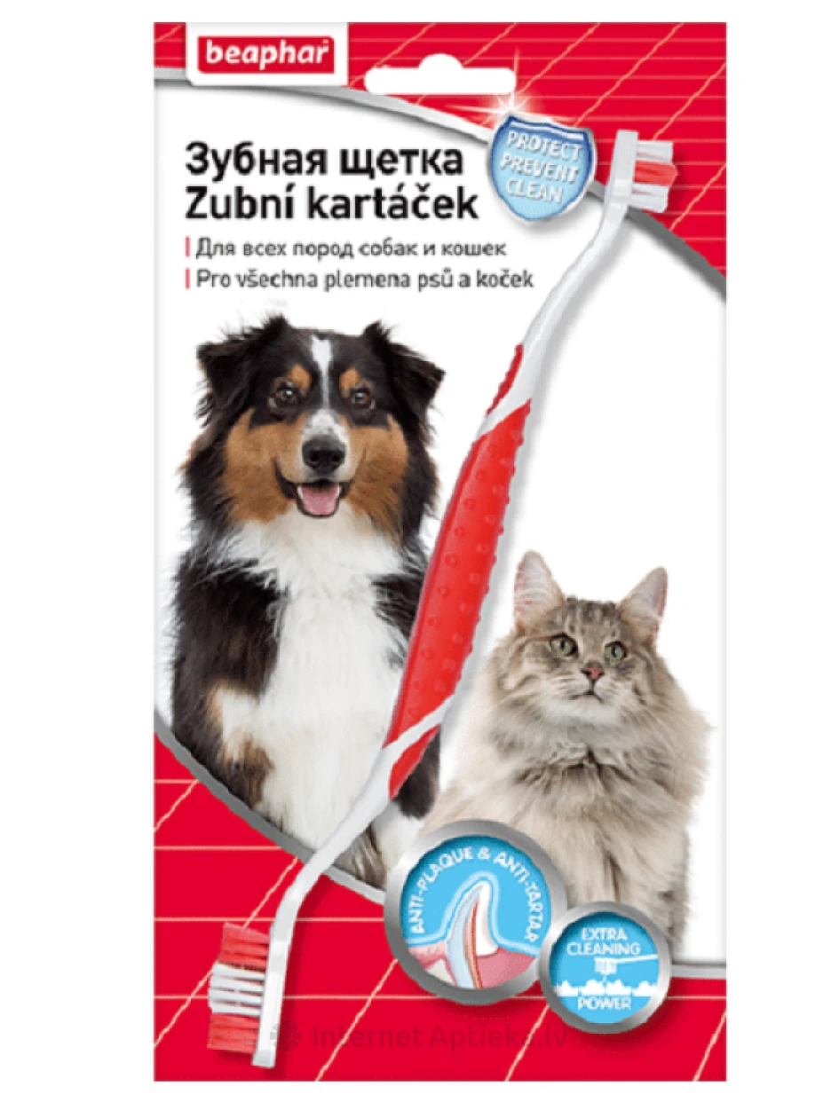 Beaphar Kahekordne hambahari | internetaptieka.lv