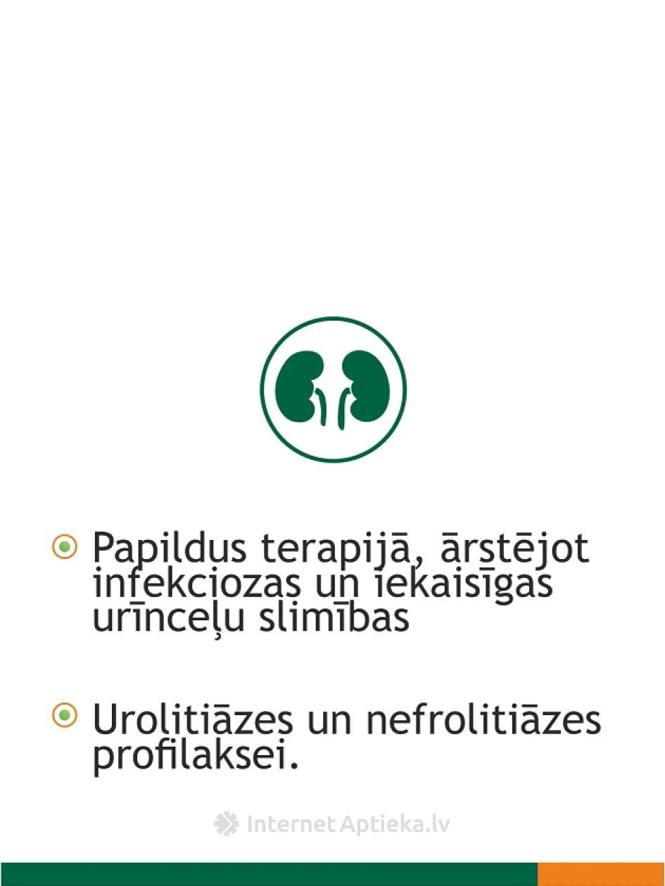Fitolizyn Паста, 100 г | internetaptieka.lv