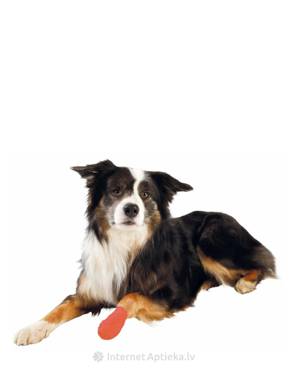 TRIXIE Elastīgs pārsējs 5 cm/4.5 m, 4 gb. | internetaptieka.lv