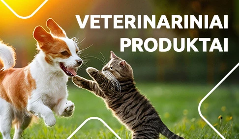 Vet