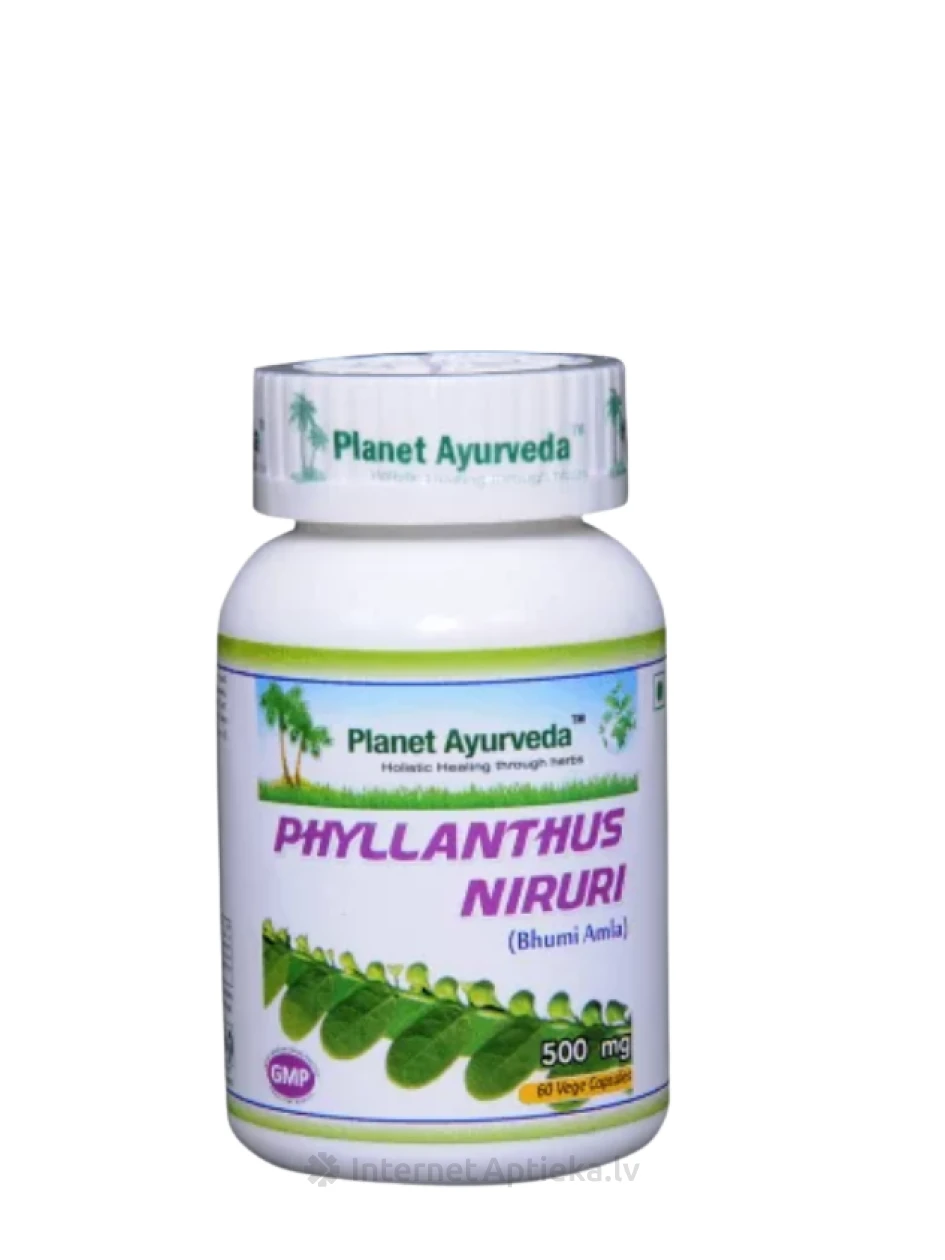 Planet Ayurveda® ar filanta (Phyllanthus niruri) lapu ekstraktu, 60 kapsulas | internetaptieka.lv