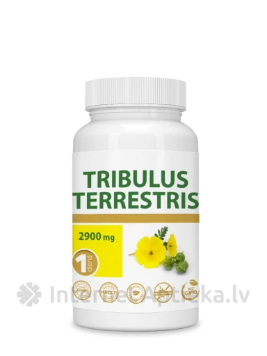 Tribulus Terrestris, 30 kapslit | internetaptieka.lv