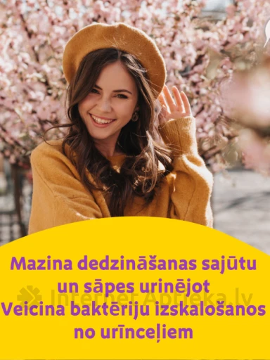 Canephron, 60 apvalkotās tabletes | internetaptieka.lv
