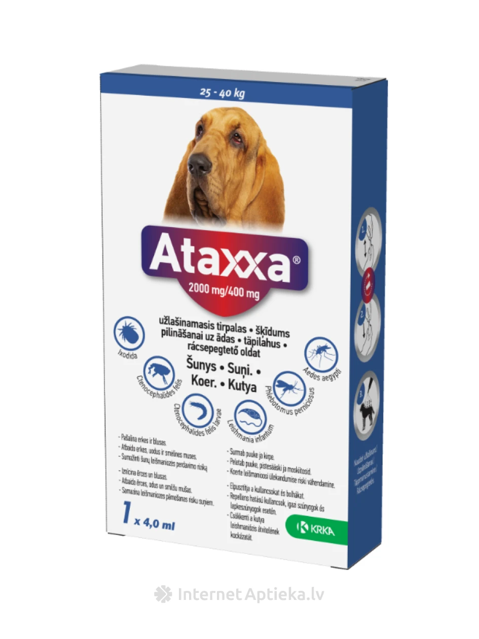 Ataxxa 2000/400mg šķīdums 4ml suņiem virs 25kg, 1 gb. | internetaptieka.lv