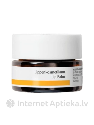 dr. Hauschka huulepalsam, 4,5 ml | internetaptieka.lv