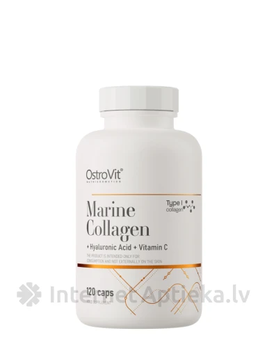 OstroVit Marine collagen + hyaluronic acid + vitamin C kapsulas, 120 gb. | internetaptieka.lv