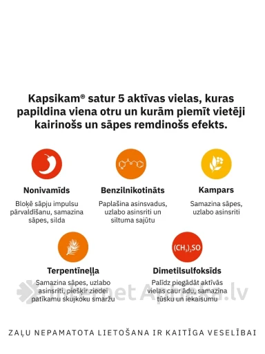 Grindex Kapsikam salv, 50 g | internetaptieka.lv