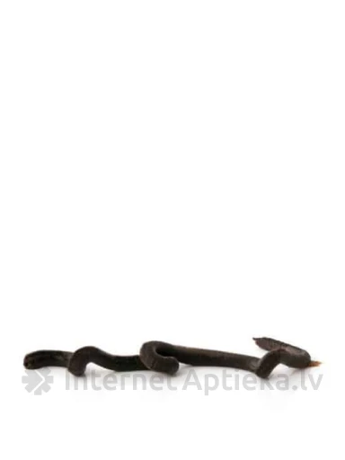 Beaphar Malt-Paste Вкусная и полезная паста, 25 г | internetaptieka.lv