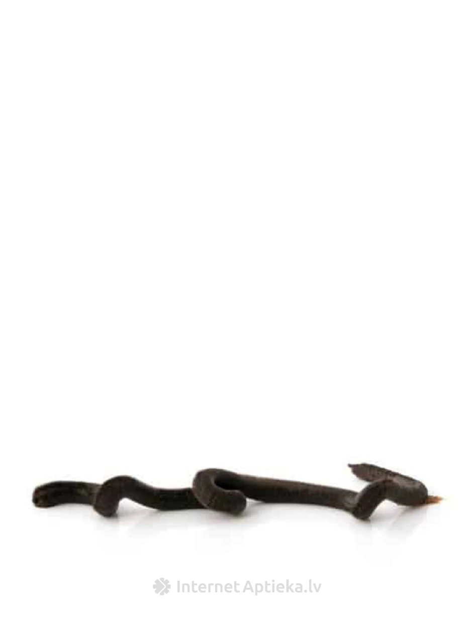 Beaphar Malt-Paste Вкусная и полезная паста, 25 г | internetaptieka.lv