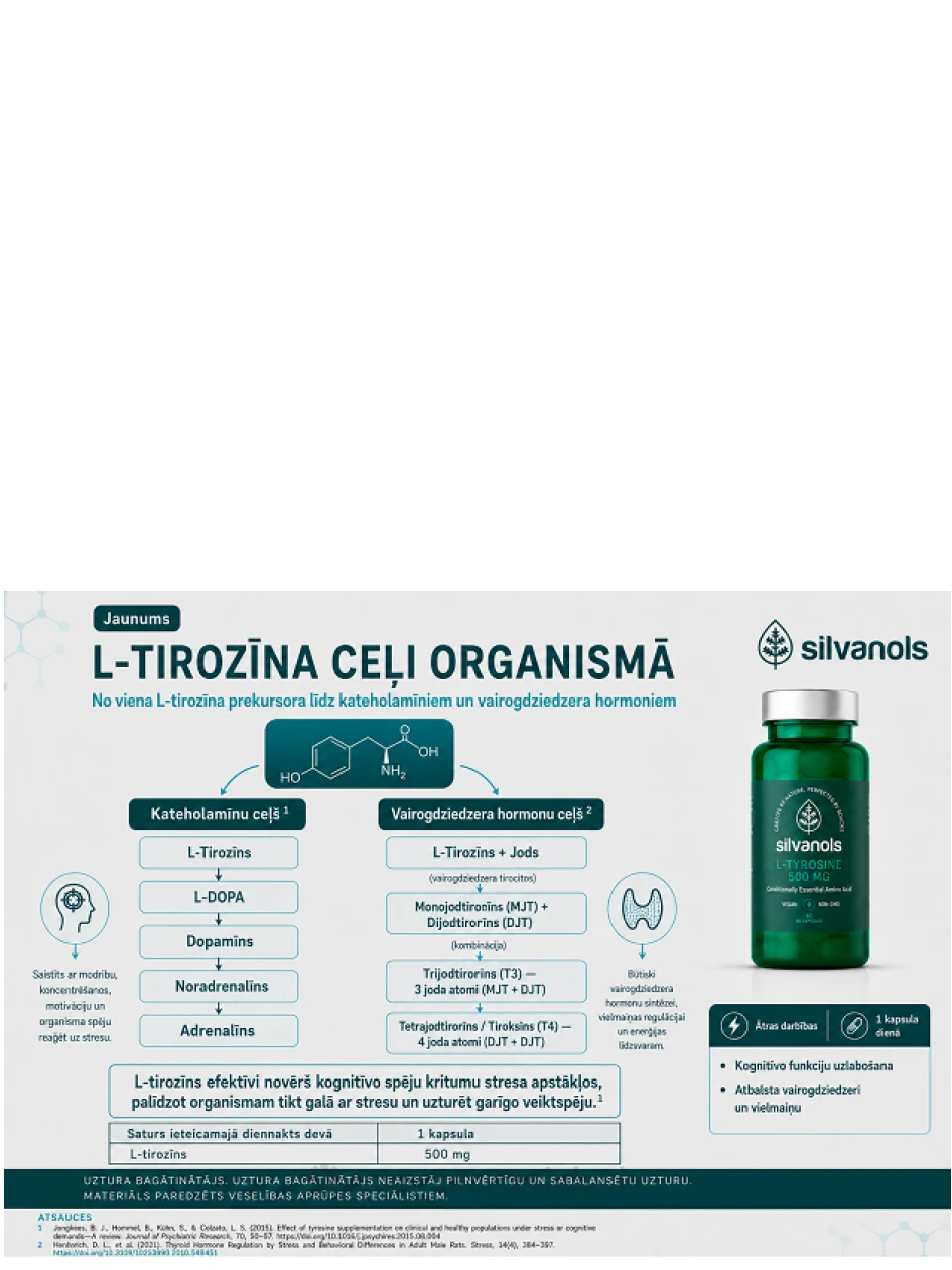 Silvanols L-TYROSINE 500 MG kapsulės, 60 vnt | internetaptieka.lv