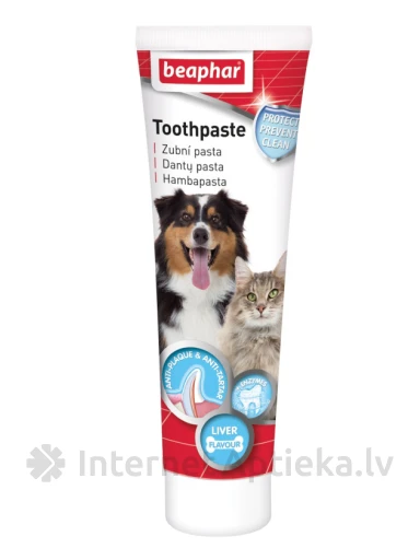 Beaphar Zobu pasta suņiem un kaķiem, 100 g | internetaptieka.lv