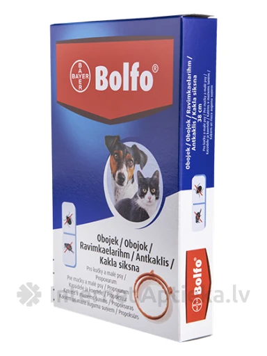 Bolfo ошейник для собак и кошек от блох и клещей, 38 см, 1 шт. | internetaptieka.lv