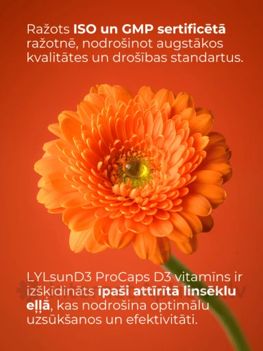 LYL sunD3 ProCaps 4000 SV, 60 kapsulas | internetaptieka.lv