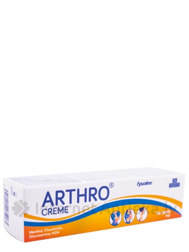 Ice Power Arthro külmakreem, 60 g | internetaptieka.lv