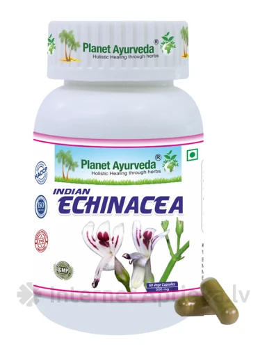 Planet Ayurveda® Indijas ehinācija, 60 kapsulas | internetaptieka.lv