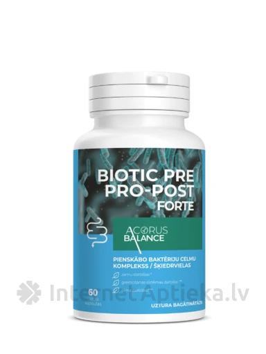 Acorus Balance Biotic PRE-PRO-POST FORTE kapsulas, 60 gb. | internetaptieka.lv