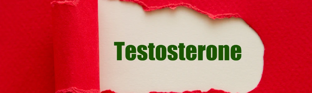 Mis on testosteroon?