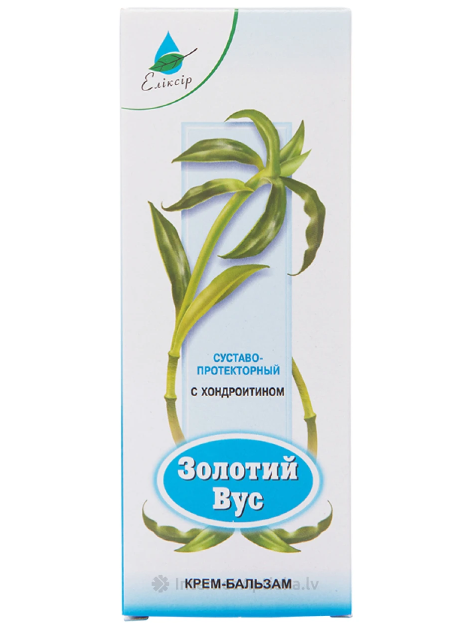 Zolotoj Vus kreem-palsam kehale kondroitiiniga, 75 ml | internetaptieka.lv