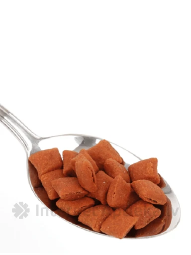 Beaphar Malt-Bits with salmon garšīgs un veselīgs gardums, 35 g | internetaptieka.lv