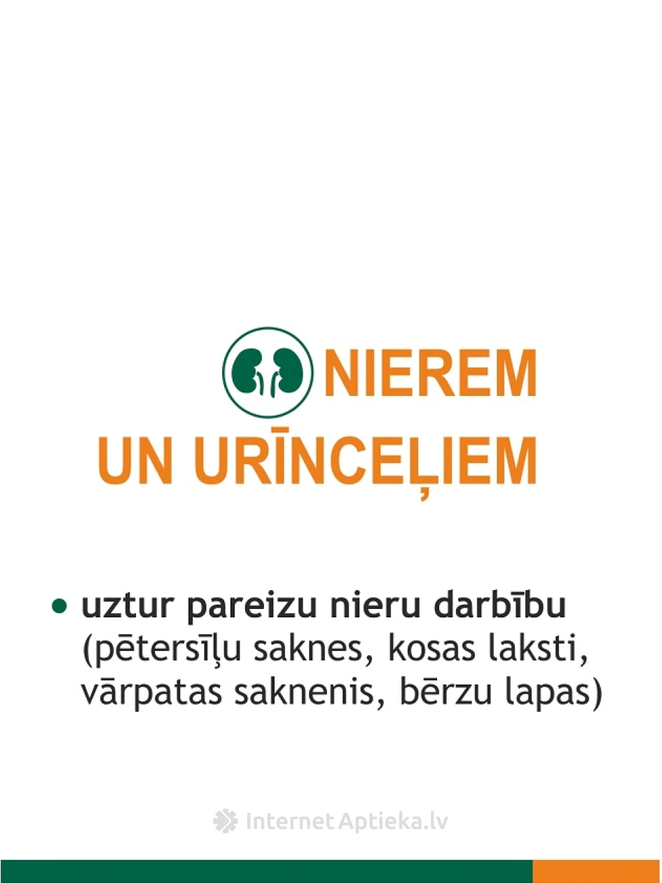 Fitolizyna Nefrocaps Plus, 30 kapslit | internetaptieka.lv