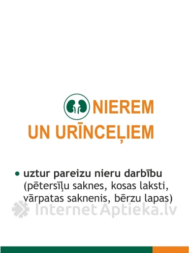 Fitolizyna Nefrocaps Plus, 30 kapslit | internetaptieka.lv
