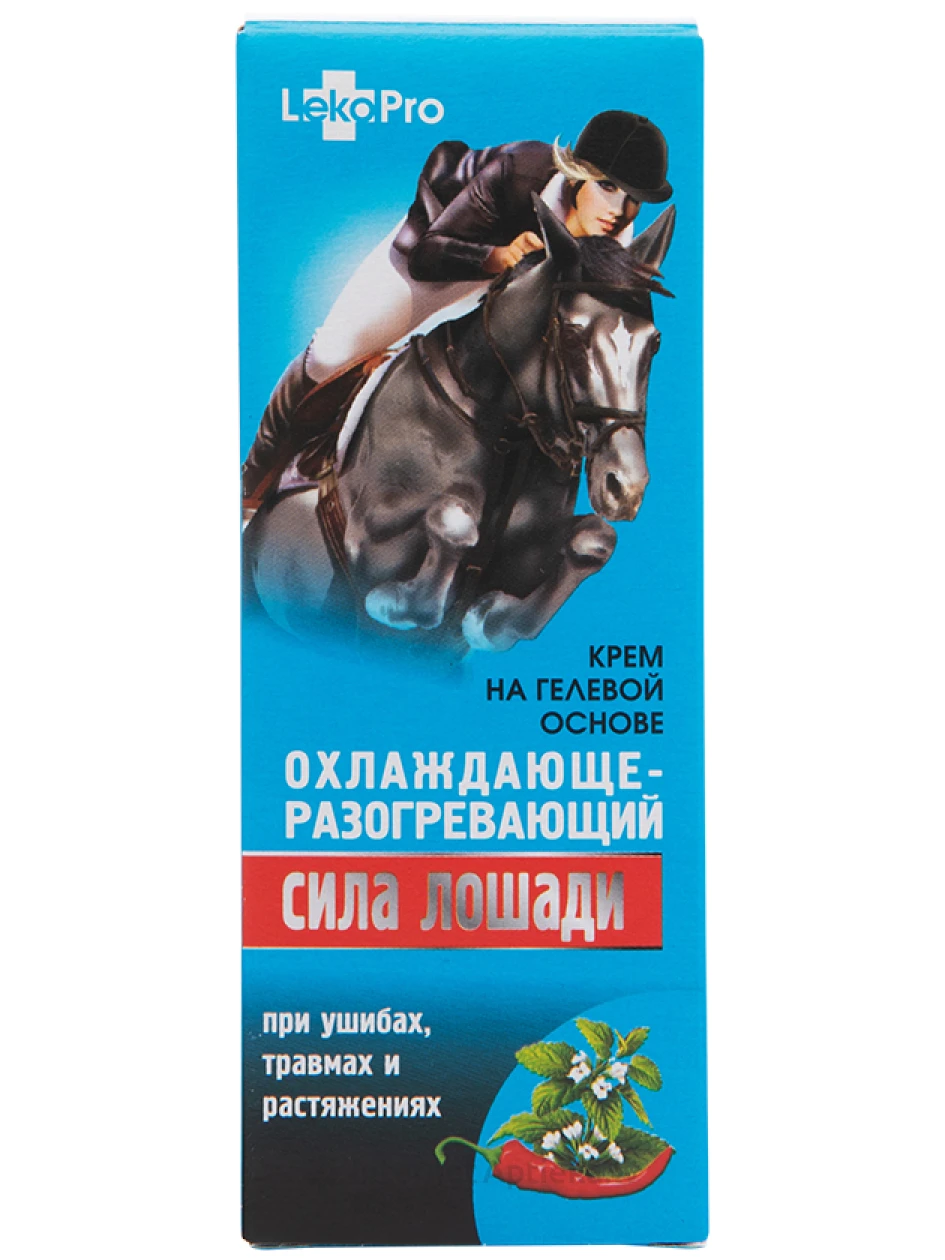 Вагина лошади 