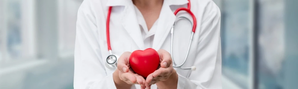 Kolesterool: kõik, mida pead teadma