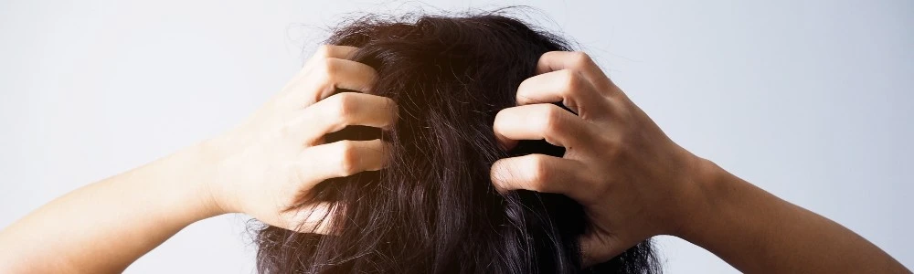 Utis matos – kāda ir vēlamā rīcība problēmas efektīvai novēršanai?