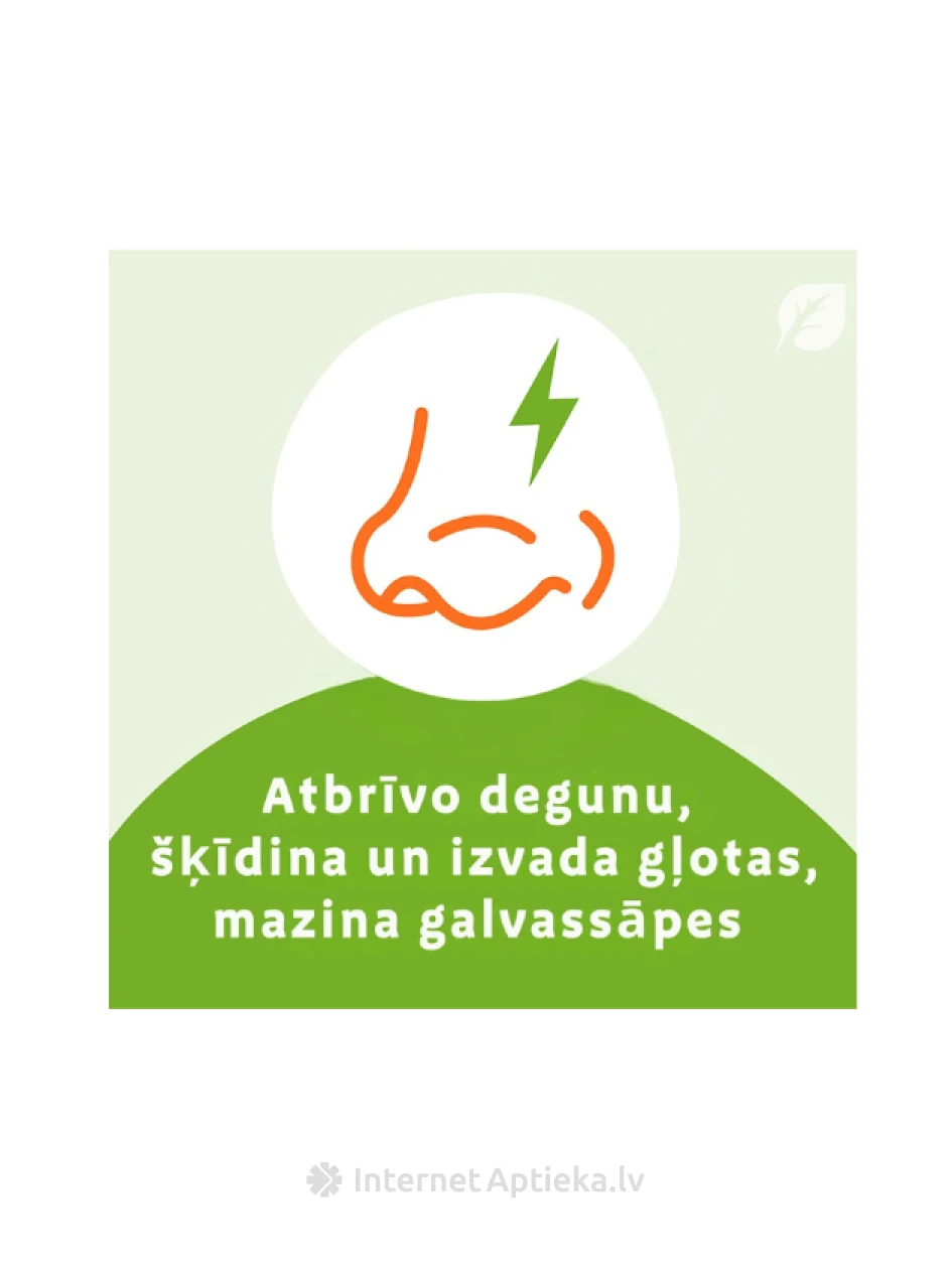 Sinupret pilieni, 100 ml | internetaptieka.lv