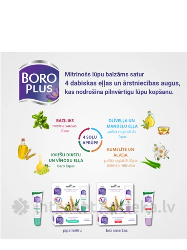 BORO PLUS huulepalsam piparmünt, 10 ml | internetaptieka.lv