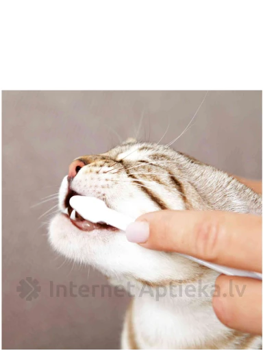 TRIXIE Hambahoolduskomplekt kassidele | internetaptieka.lv