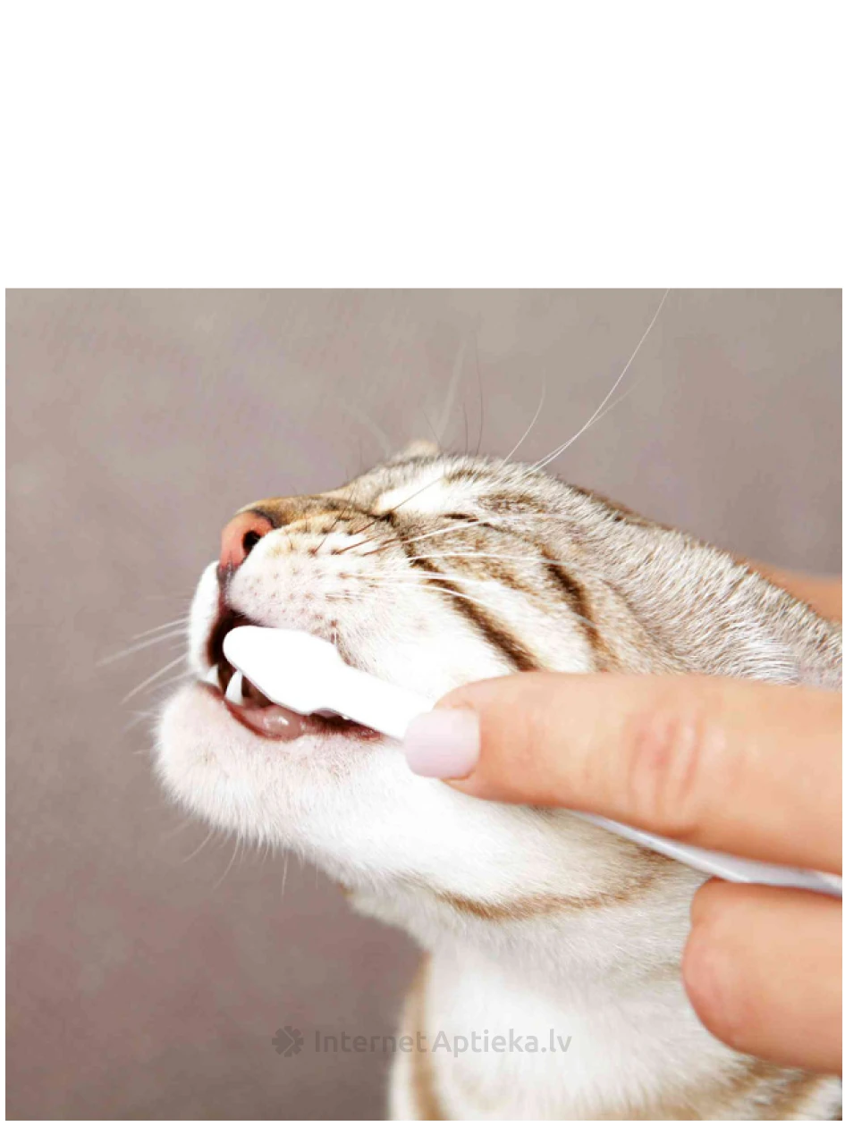 TRIXIE Hambahoolduskomplekt kassidele | internetaptieka.lv