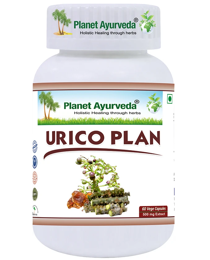 Planet Ayurveda Urico Plan kapsulas, 60 gab.